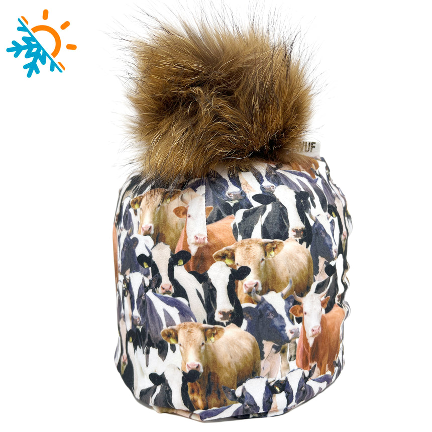 Vaches