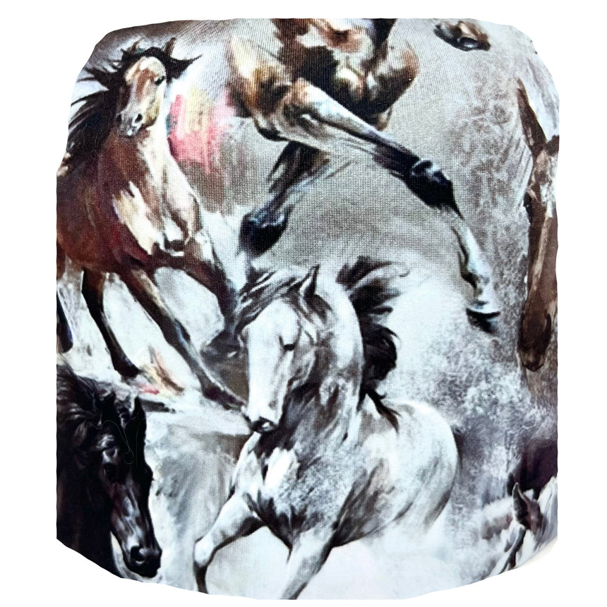 Chevaux Sauvages